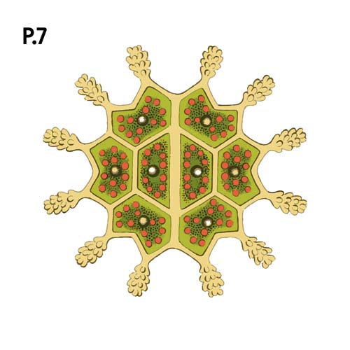 Přírodopis_motiv7.jpg Přírodopis_motiv7.jpg